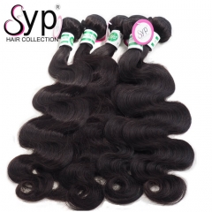 10 Bundles Wholesale Virgin Brazilian Hair Body Wave Free Shipping
